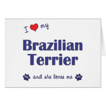 I Love My Brazilian Terrier (Female Dog) Card