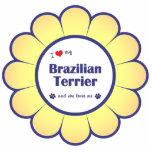 I Love My Brazilian Terrier (Female Dog) Photo Cutout