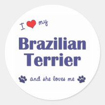 I Love My Brazilian Terrier (Female Dog) Round Stickers