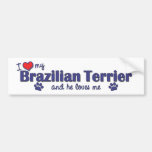 I Love My Brazilian Terrier (Male Dog) Bumper Stickers