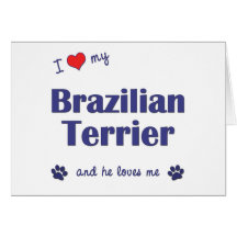I Love My Brazilian Terrier (Male Dog) Greeting Card