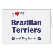 I Love My Brazilian Terriers (Multiple Dogs) Greeting Cards