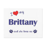 I Love My Brittany (Female Dog) postcards
