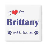 I Love My Brittany (Male Dog) magnets