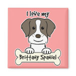 I Love My Brittany Spaniel magnets