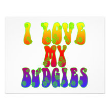 I Love My Budgies Custom Announcement