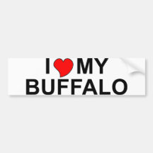 I Love My Buffalo Bumper Stickers