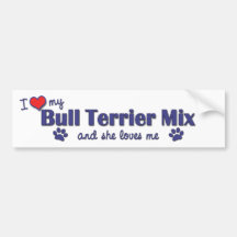 I Love My Bull Terrier Mix (Female Dog) Bumper Stickers