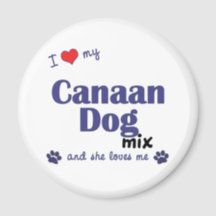 Canaan Dog Mix