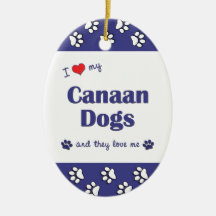 I Love My Canaan Dogs (Multiple Dogs) Christmas Ornament