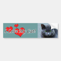 I Love My Cat Bumper Sticker