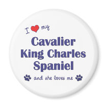 I Love My Cavalier King Charles (Female Dogs) Fridge Magnet