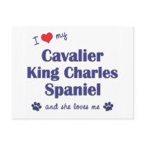 I Love My Cavalier King Charles (Female Dogs) Postcard