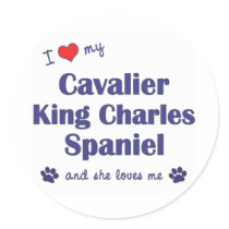 I Love My Cavalier King Charles (Female Dogs) Sticker