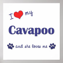 I Love My Cavapoo (Female Dog) Poster Print