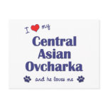 I Love My Central Asian Ovcharka (Male Dog) Post Cards