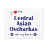 I Love My Central Asian Ovcharkas (Multiple Dogs) Post Cards