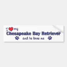 I Love My Chesapeake Bay Retriever (Male Dog) Bumper Sticker