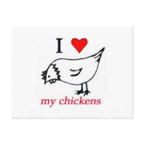 I Love my chickens Postcard