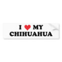 I Love My Chihuahua bumper stickers