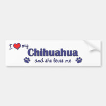 I Love My Chihuahua (Female Dog) Bumper Sticker