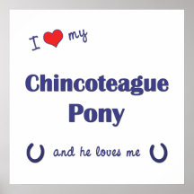 I Love My Chincoteague Pony (Male Pony) Print