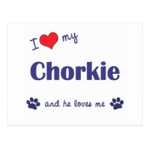 I Love My Chorkie (Male Dog) Post Cards