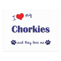 I Love My Chorkies (Multiple Dogs) Postcards