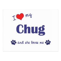 I Love My Chug (Female Dog) Post Card