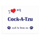 I Love My Cock-A-Tzu (Male Dog) Post Card