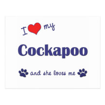 I Love My Cockapoo (Female Dog) Post Card