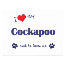 I Love My Cockapoo (Male Dog) Postcard