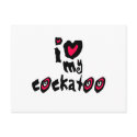 I Love My Cockatoo postcards