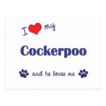 I Love My Cockerpoo (Male Dog) Postcard