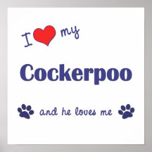 I Love My Cockerpoo (Male Dog) Posters