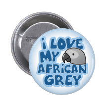 I Love My Congo African Grey Button