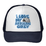 I Love My Congo African Grey Hat