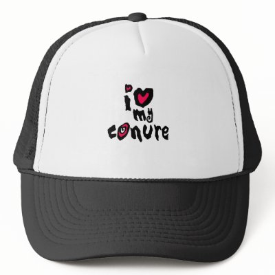 I Love My Conure Mesh Hats by BirdsOfParadise