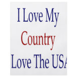 I Love My Country I Love The USA Custom Flyer