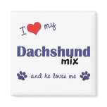 I Love My Dachshund Mix (Male Dog) Magnets