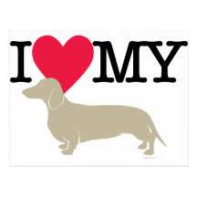 I Love My Dachshund ! Post Cards