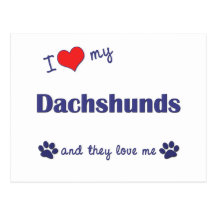 I Love My Dachshunds (Many Dogs) Post Cards