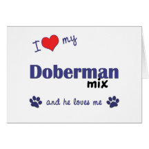 I Love My Doberman Mix (Male Dog) Cards