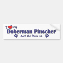 I Love My Doberman PInscher (Female Dog) Bumper Sticker