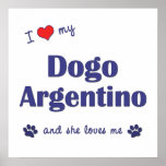 I Love My Dogo Argentino (Female Dog) Posters