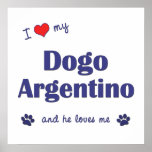 I Love My Dogo Argentino (Male Dog) Poster
