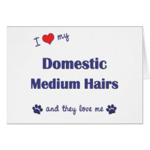 I Love My Domestic Medium Hairs (Multiple Cats) Card