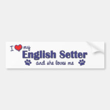 I Love My English Setter (Female Dog) Bumper Stickers