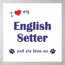 I Love My English Setter (Female Dog) Poster