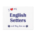 I Love My English Setters (Multiple Dogs) postcards